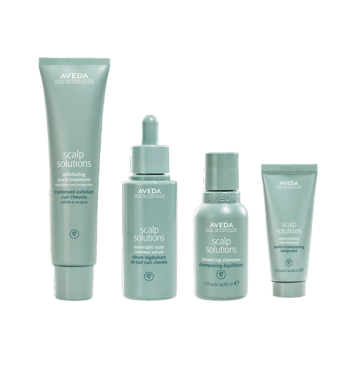 AVEDA スカルプ ソリューション パーフェクトギフト