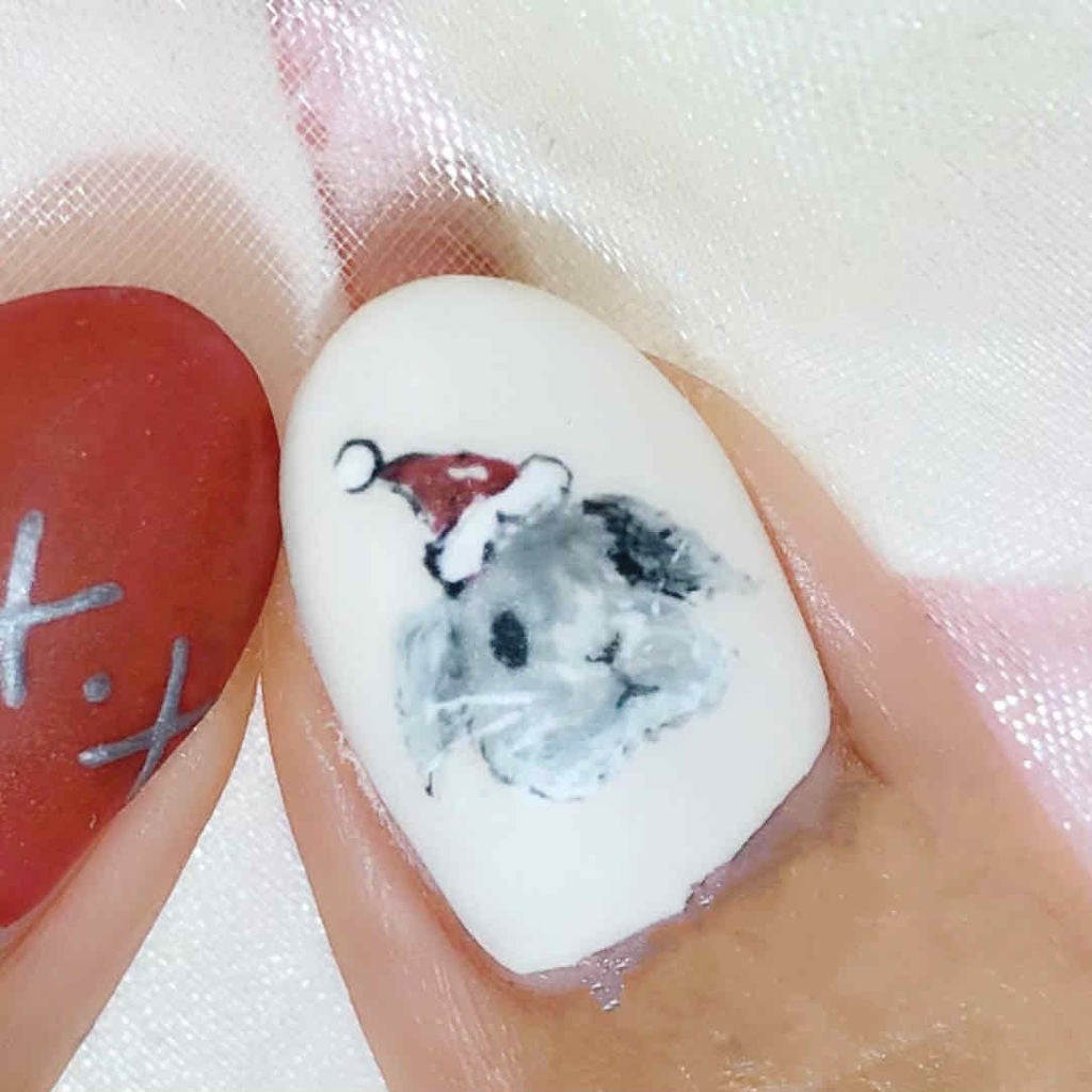 sacha🐰 on LIPS 「💅12月はうちの子クリスマスネイル♡💅※毎月ながら記録用です。..」(2枚目)