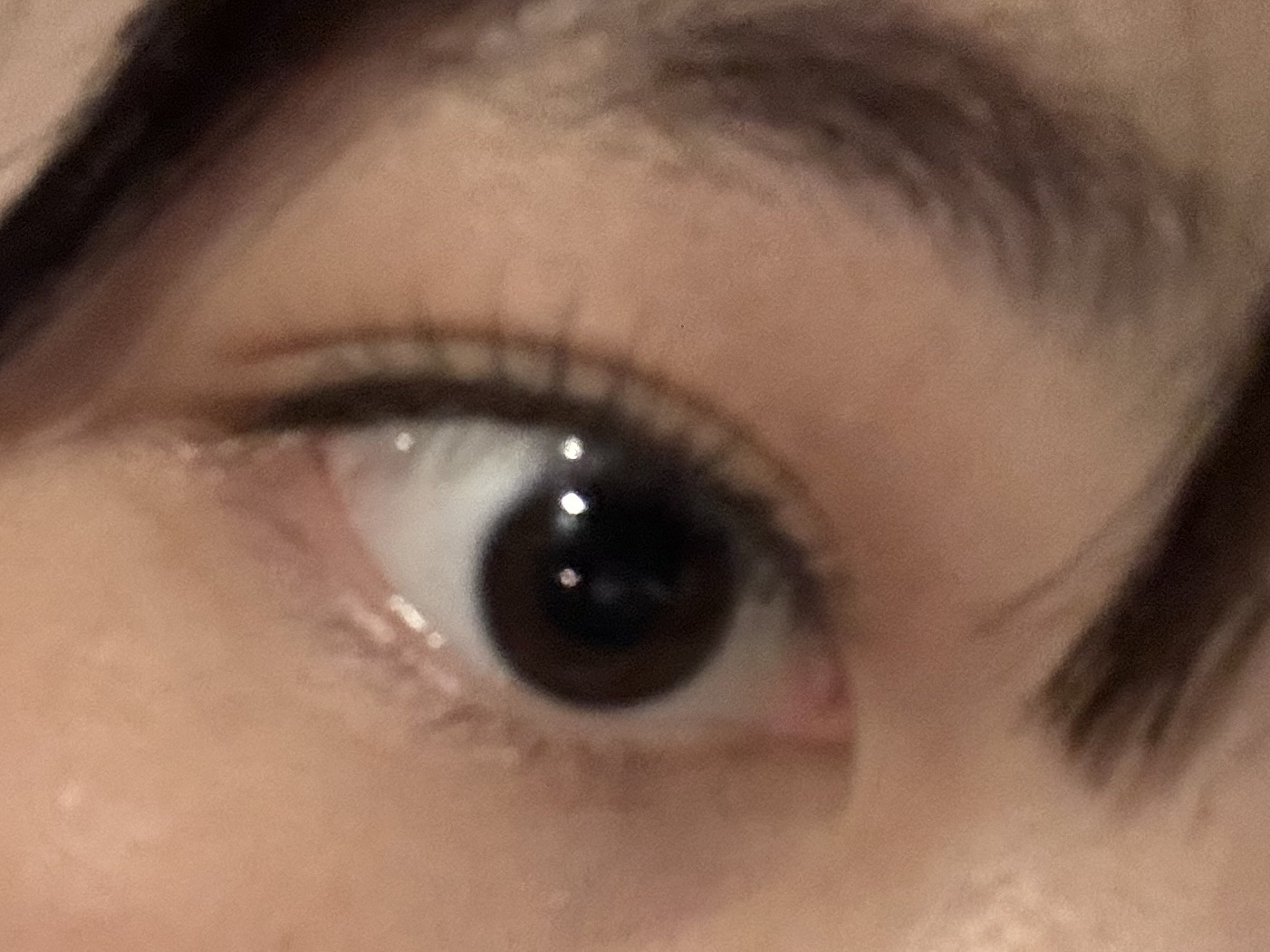 アイラッシュフィクサーEX 552/D-UP/つけまつげを使ったクチコミ（1枚目）