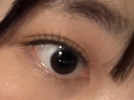 ドーリーウインク サロンアイラッシュ 16 こっそり目力なハムスター/ドーリーウインク/つけまつげの画像