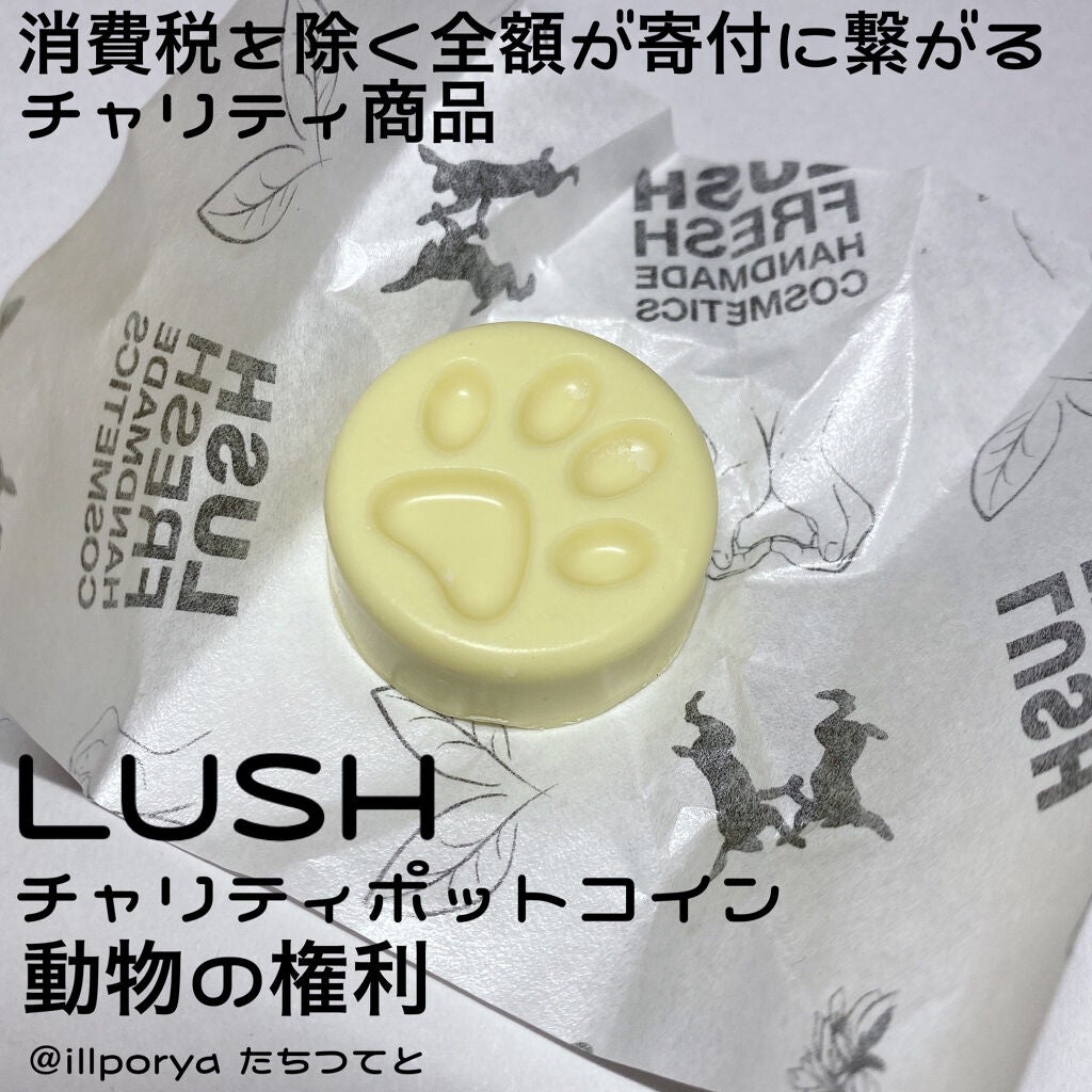 チャリティポット コイン/ラッシュ/ボディローションを使ったクチコミ(1枚目)