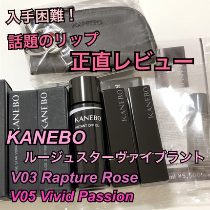 ルージュスターヴァイブラント/KANEBO/口紅を使ったクチコミ(1枚目)