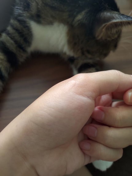 毛穴レスコンシーラー/CEZANNE/クリームコンシーラーを使ったクチコミ(4枚目)