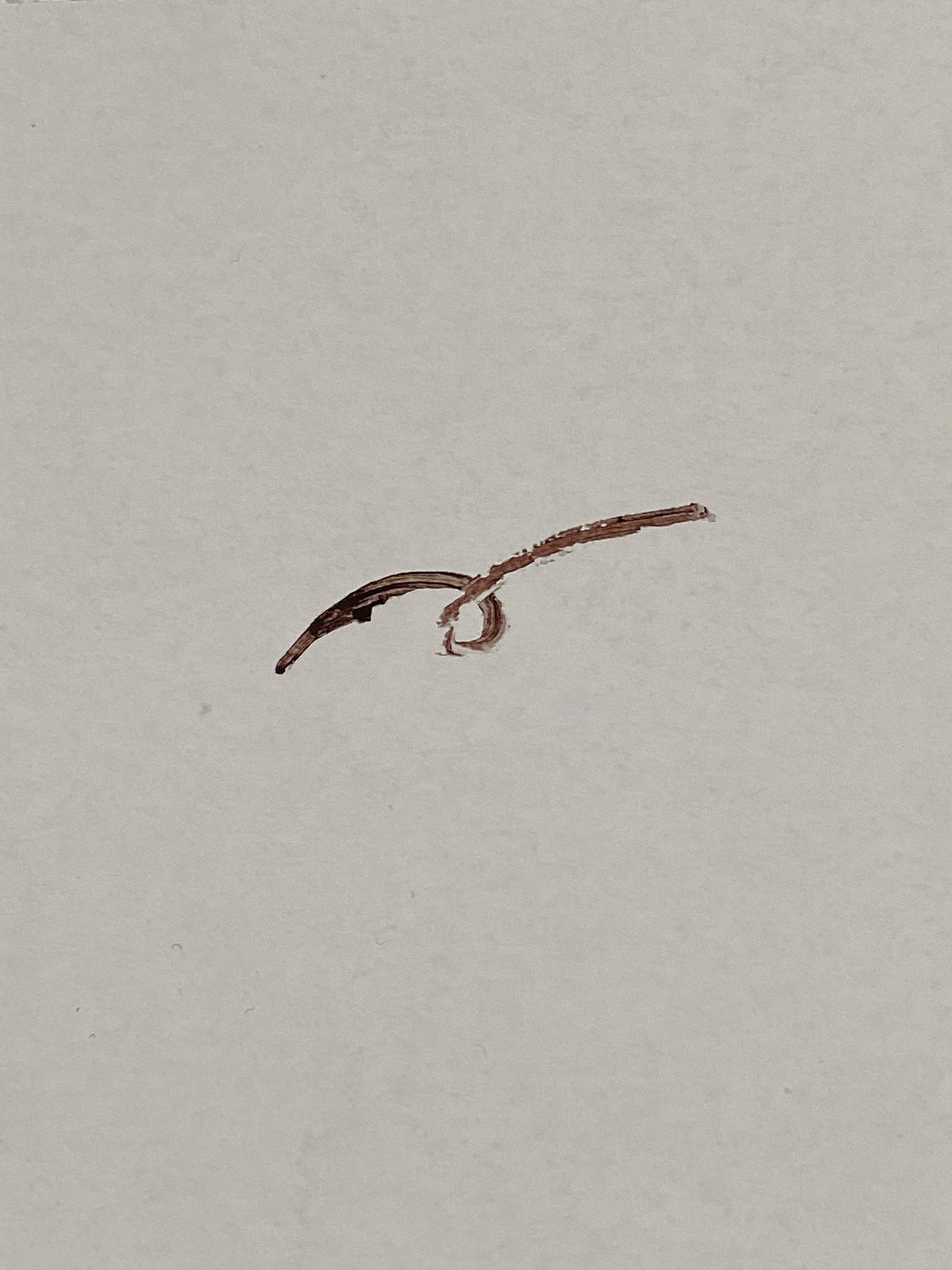 クリーミータッチライナー/キャンメイク/ジェルアイライナーを使ったクチコミ(3枚目)