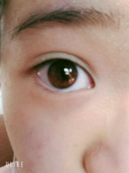 CHEER me COLOR アイシャドウ/セリア/アイシャドウパレットを使ったクチコミ(2枚目)