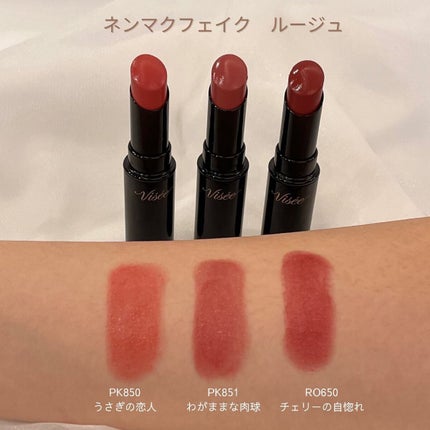 パノラマデザイン アイパレット/Visée/アイシャドウパレットを使ったクチコミ(5枚目)