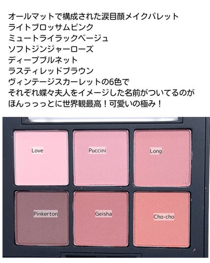 ブラーフィニシュシャドウパレット/Dinto/アイシャドウパレットを使ったクチコミ(3枚目)