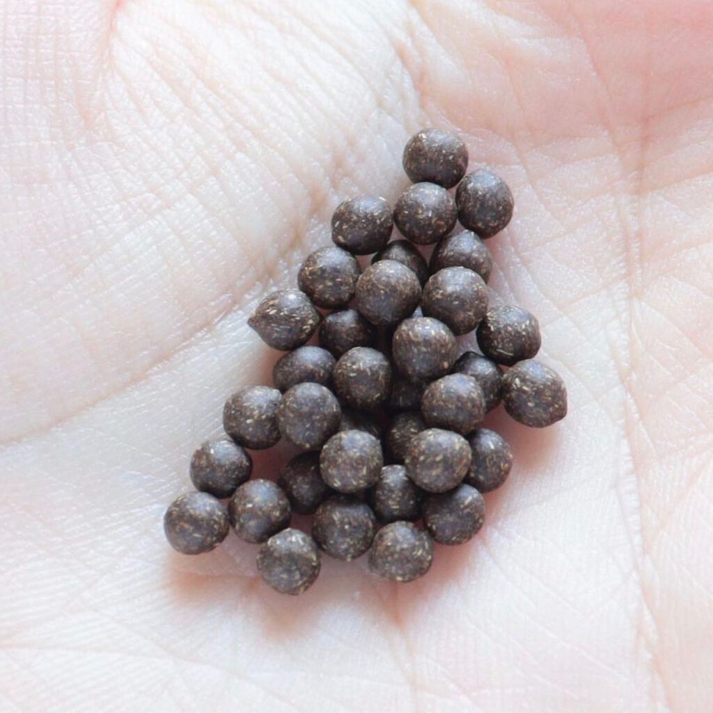 AB丸/韓国ABクリニック/ボディサプリメントを使ったクチコミ(5枚目)