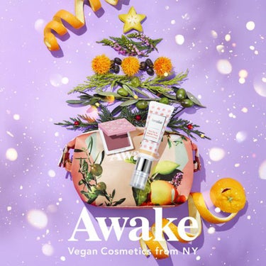 ホリデー メイクアップ キット Awake