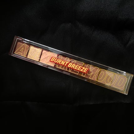 パーマネントカール マスカラ WP(ボリューム)/FASIO/マスカラを使ったクチコミ(2枚目)