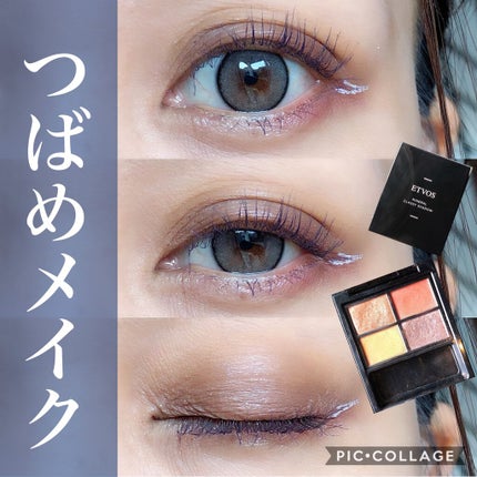 ミネラルクラッシィシャドー/エトヴォス/アイシャドウパレットを使ったクチコミ(1枚目)