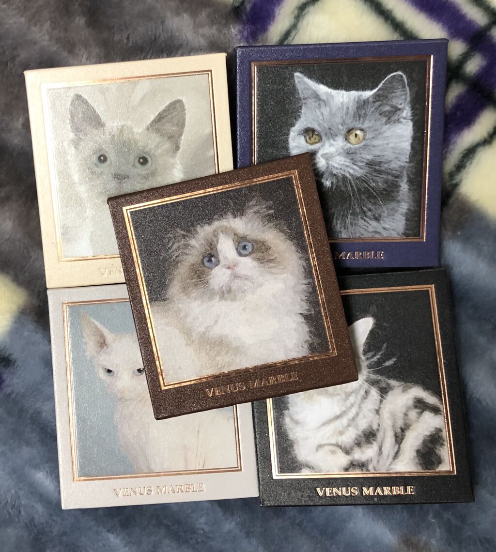 Venus Marble アイシャドウキャットシリーズ/Venus Marble/アイシャドウパレットを使ったクチコミ（1枚目）