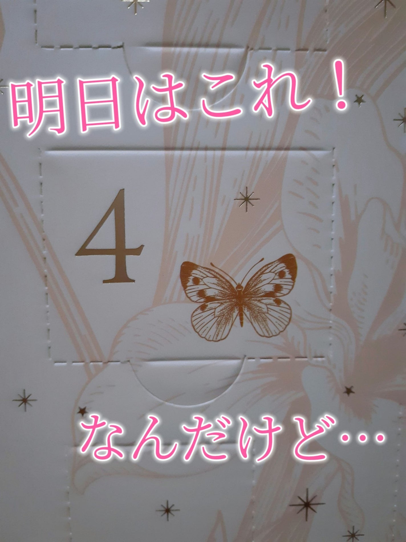 鈴花 on LIPS 「3日目!PEACHJOHNのアドベントカレンダー今年、色んなコ..」(4枚目)