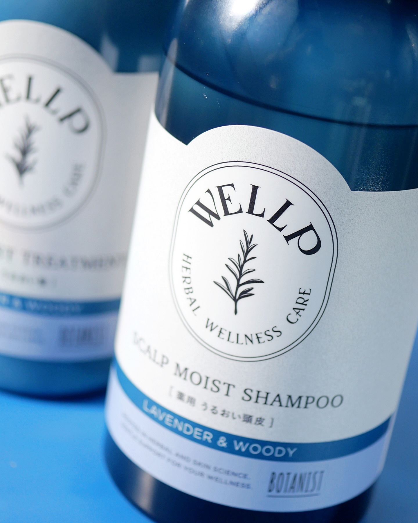 薬用スカルプケアシャンプー/トリートメント モイスト/WELLP/市販シャンプーを使ったクチコミ（2枚目）