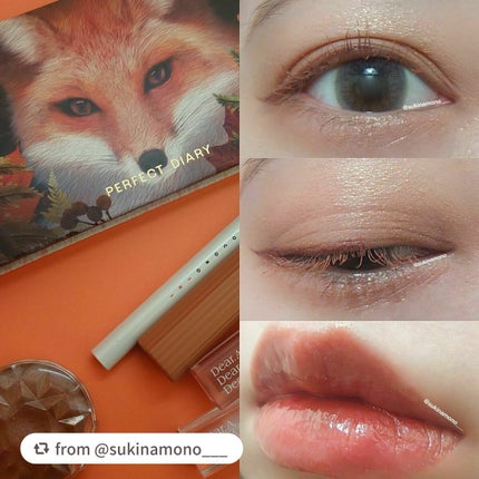 エクスプローラ12色 動物アイシャドウパレット/PERFECT DIARY/アイシャドウパレットを使ったクチコミ(6枚目)