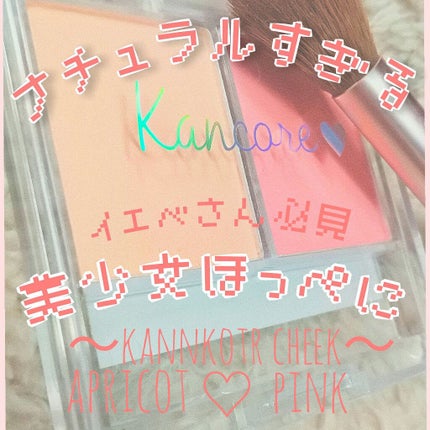 ラブ・ライナー リキッドアイライナーR3/ラブ・ライナー/リキッドアイライナーを使ったクチコミ(1枚目)