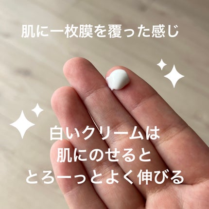 シカプラスト リペアクリーム B5+ /ラ ロッシュ ポゼ/フェイスクリームを使ったクチコミ(2枚目)