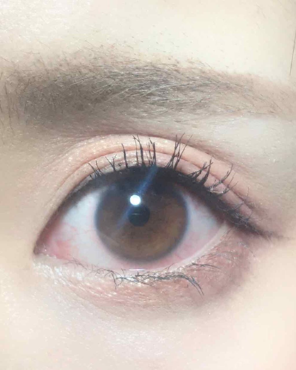 アイニュアンス/キャンメイク/アイシャドウパレットを使ったクチコミ(2枚目)