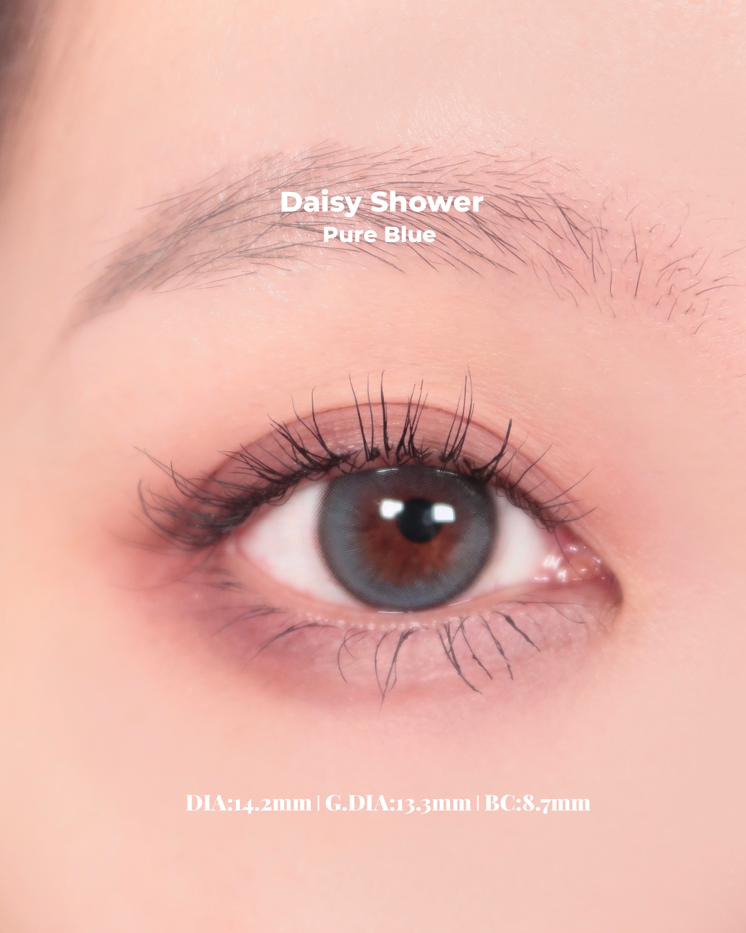 Daisy Shower 1Day/chuu LENS/ワンデー（１DAY）カラコンを使ったクチコミ（3枚目）