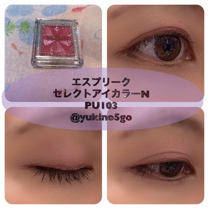 セレクト アイカラー N/ESPRIQUE/単色アイシャドウを使ったクチコミ(2枚目)
