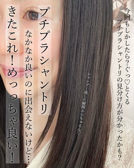 ヒリツ バランスリペアシャンプー/ヘアトリートメント オーロラ/hiritu/市販シャンプーを使ったクチコミ(2枚目)
