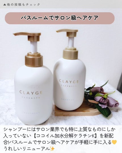 シャンプー/トリートメント SR/CLAYGE/市販シャンプーを使ったクチコミ(6枚目)