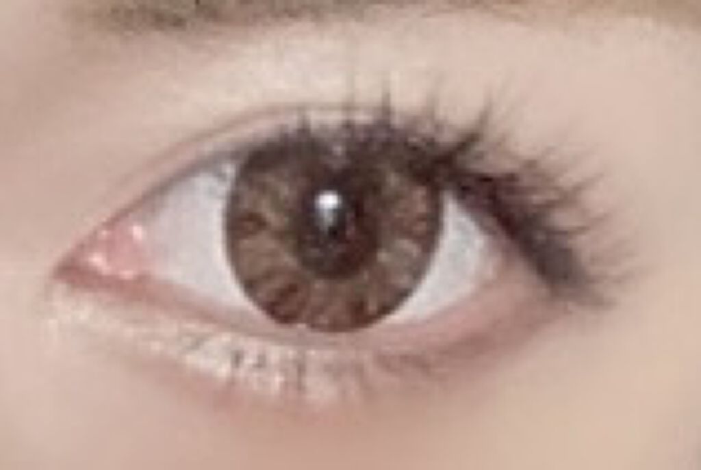 DopeWink 1month ピークスブラウン/Dope Wink/１ヶ月（１MONTH）カラコンを使ったクチコミ（1枚目）