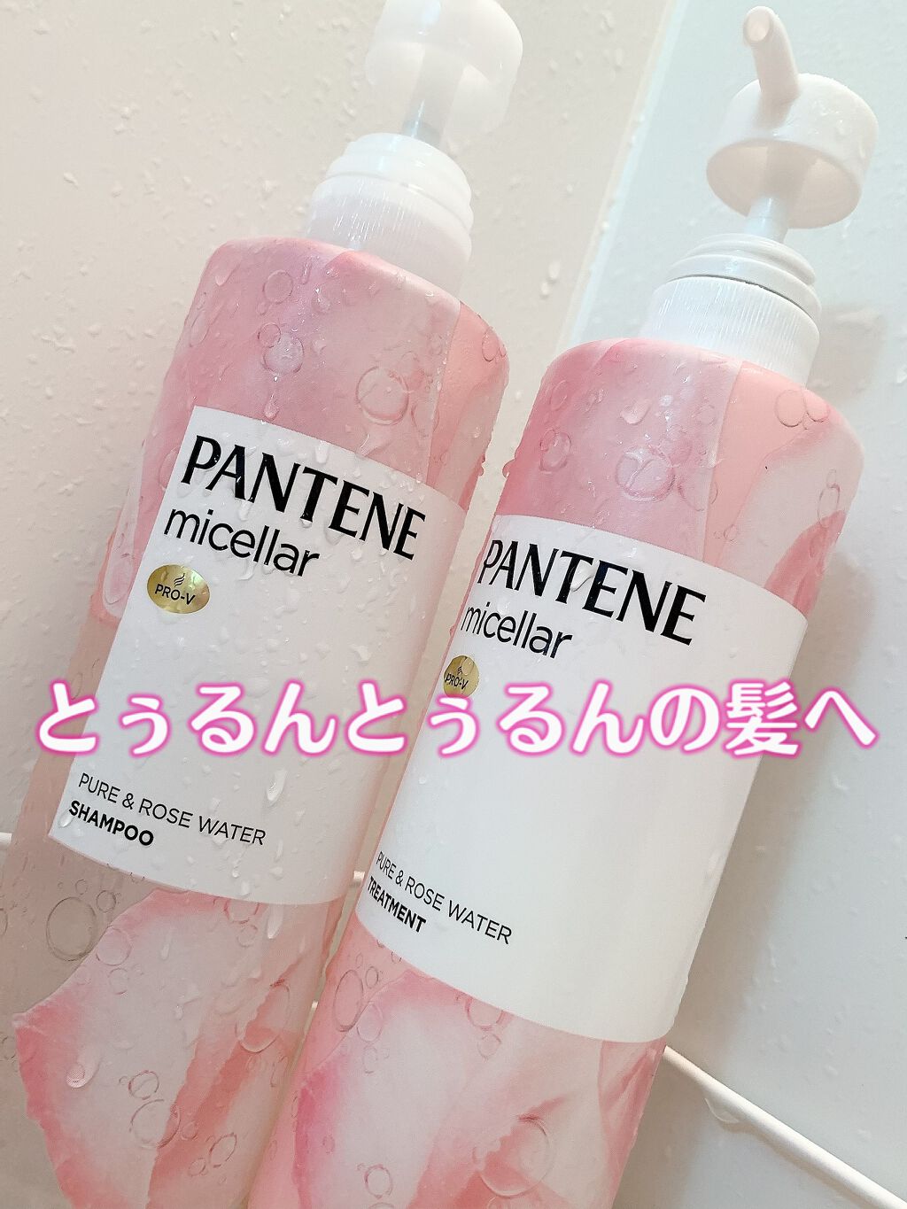 PRO-V ãã»ã©ãŒ ãã¥ã¢ïŒããŒãºãŠã©ãŒã¿ãŒ ãã³ã·ãªã³ã³ã·ã£ã³ããŒ/ããªãŒãã¡ã³ã/ãã³ããŒã³/åžè²©ã·ã£ã³ããŒã䜿ã£ãã¯ãã³ãïŒ1æç®ïŒ