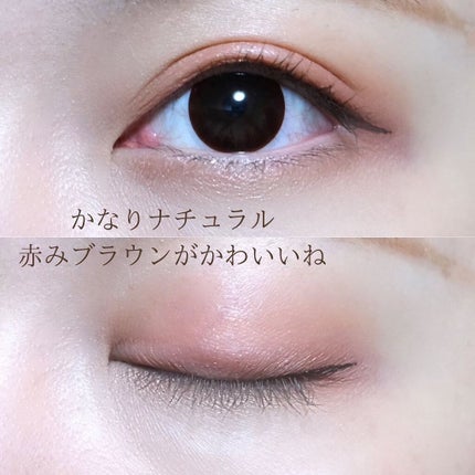 butterfly 6 colors Eye Shadow/gecomo/アイシャドウパレットを使ったクチコミ(9枚目)