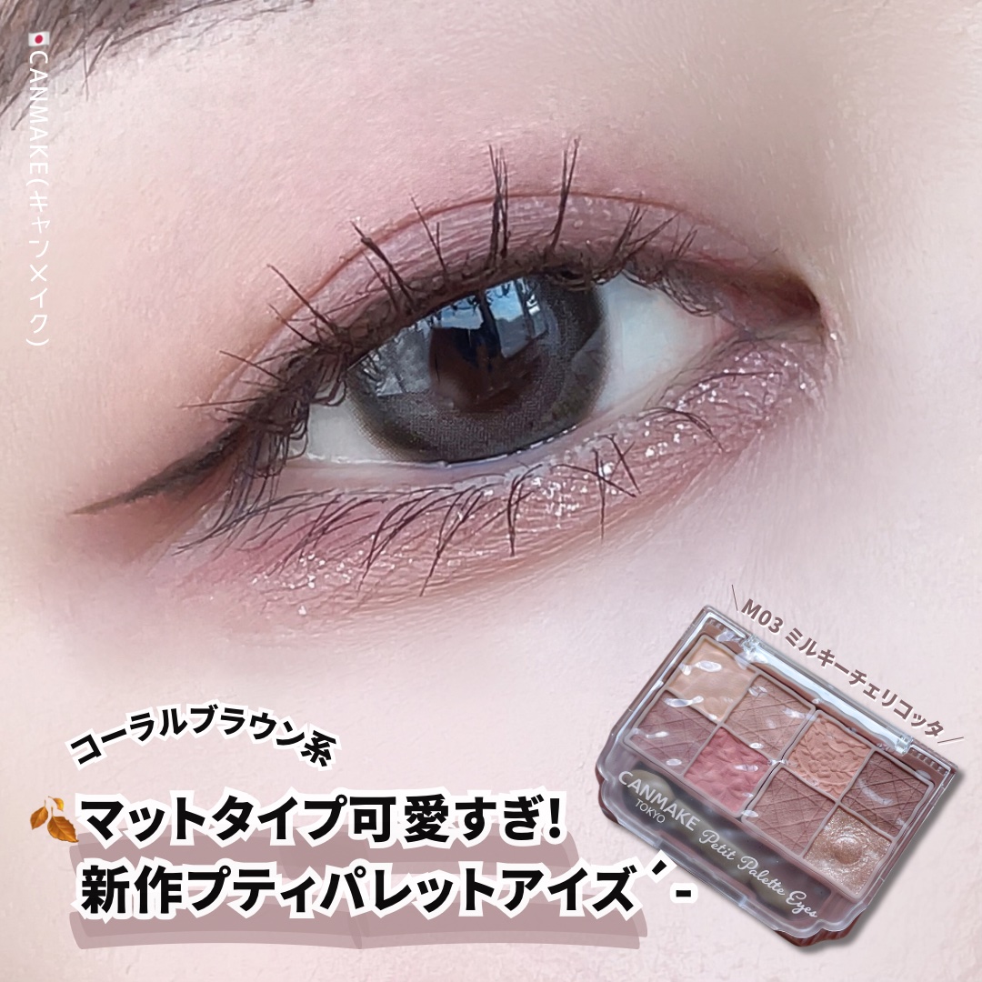プティパレットアイズ（マットタイプ）/キャンメイク/パウダーアイシャドウを使ったクチコミ（1枚目）