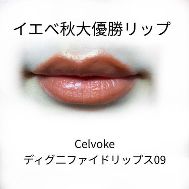 ディグニファイド リップス 09 テラコッタ/Celvoke/口紅を使ったクチコミ（1枚目）