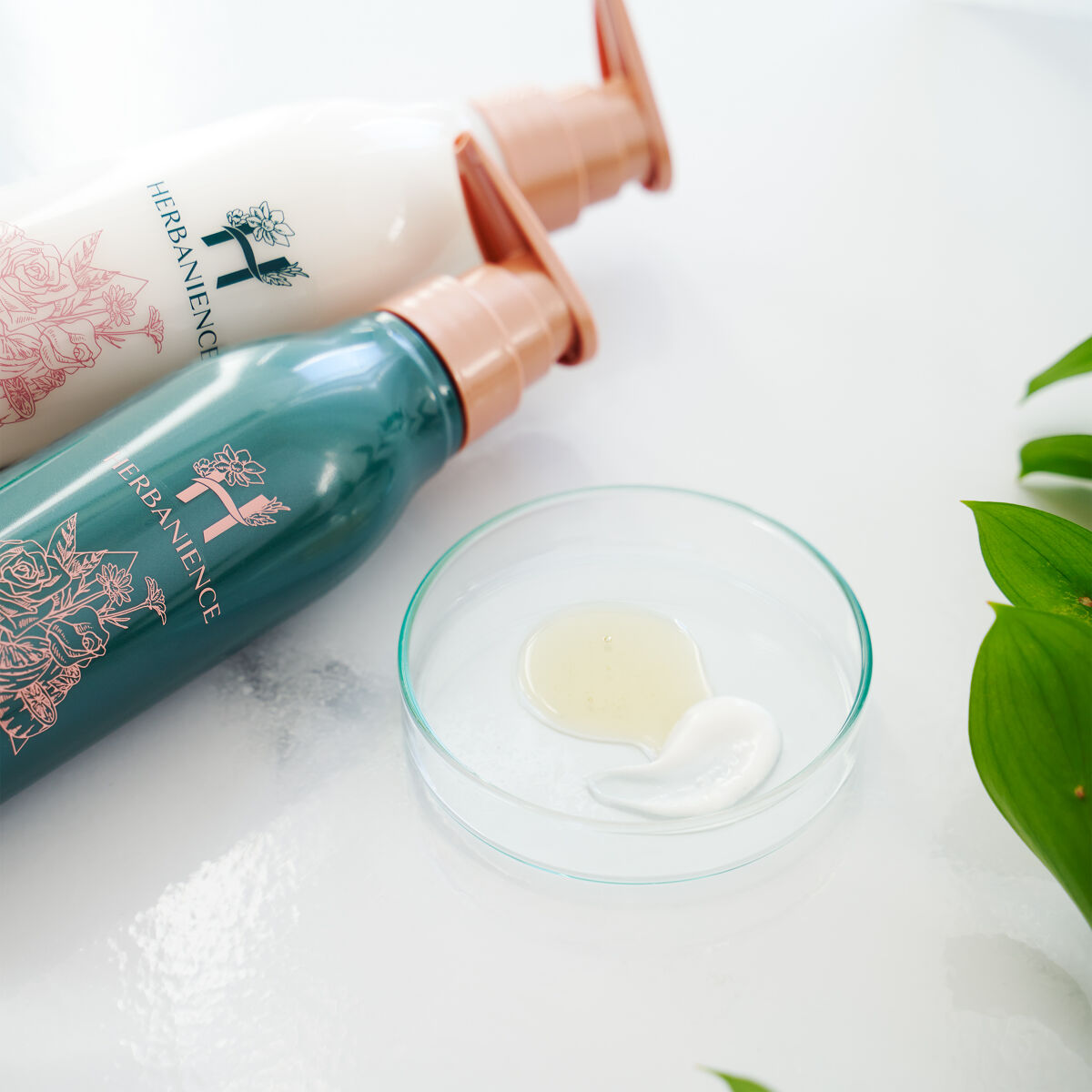 試してみた】ハーバニエンス シャンプー・コンディショナー（グリーン