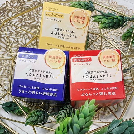 スペシャルジェルクリーム(モイスト)/アクアレーベル/オールインワン化粧品を使ったクチコミ(5枚目)