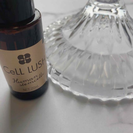 ヒト幹細胞配合美容液/セルラッシュ/美容液を使ったクチコミ(10枚目)