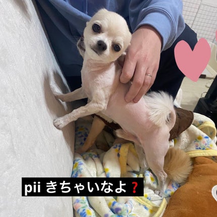 ソレイユ ネージュ オード パルファム スプレィ/TOM FORD BEAUTY/香水(レディース)を使ったクチコミ(6枚目)