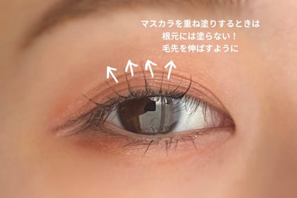 エテュセ アイエディション (マスカラベース)/ettusais/マスカラ下地を使ったクチコミ(2枚目)