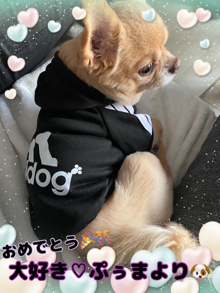 カラフルネイルズ/キャンメイク/マニキュアを使ったクチコミ(5枚目)