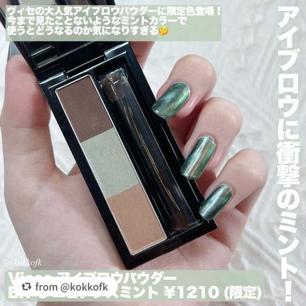 ヴィセ リシェ アイブロウパウダー/Visée/パウダーアイブロウを使ったクチコミ(2枚目)