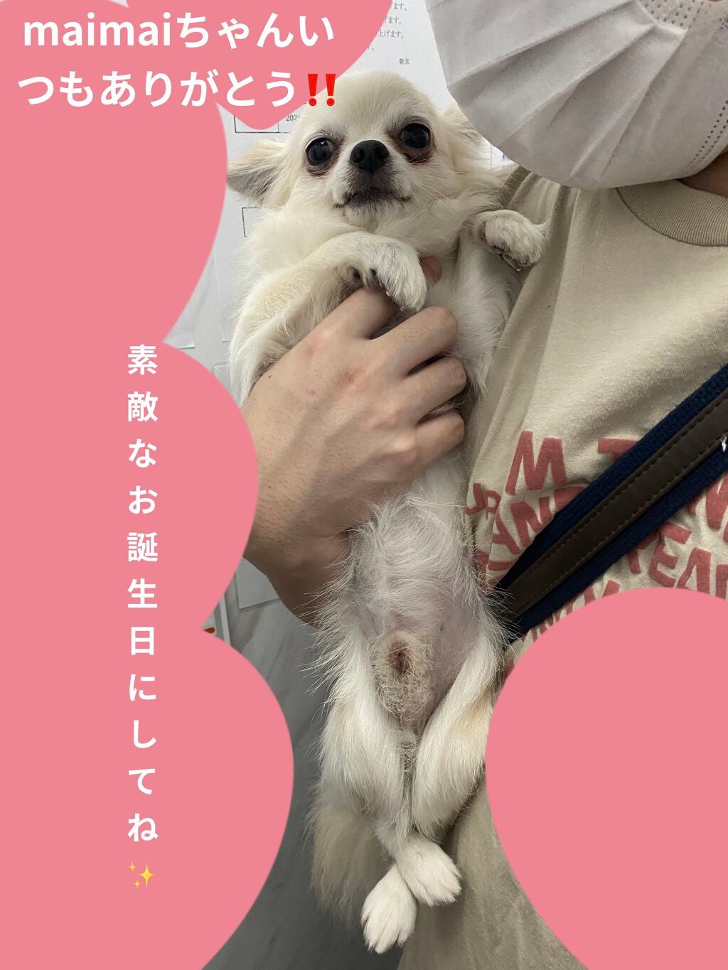 ミニネイル/パラドゥ/マニキュアを使ったクチコミ(6枚目)