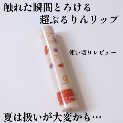 メルティクリームリップ インディアンチャイティーの香り/メンソレータム/リップクリームを使ったクチコミ(1枚目)
