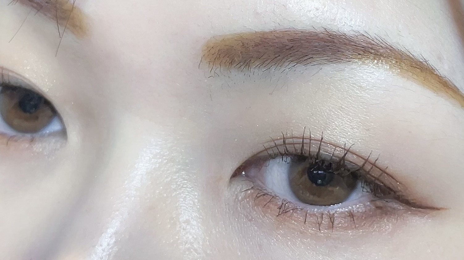 デザイニングブラウンアイズ/KATE/アイシャドウパレットを使ったクチコミ（3枚目）