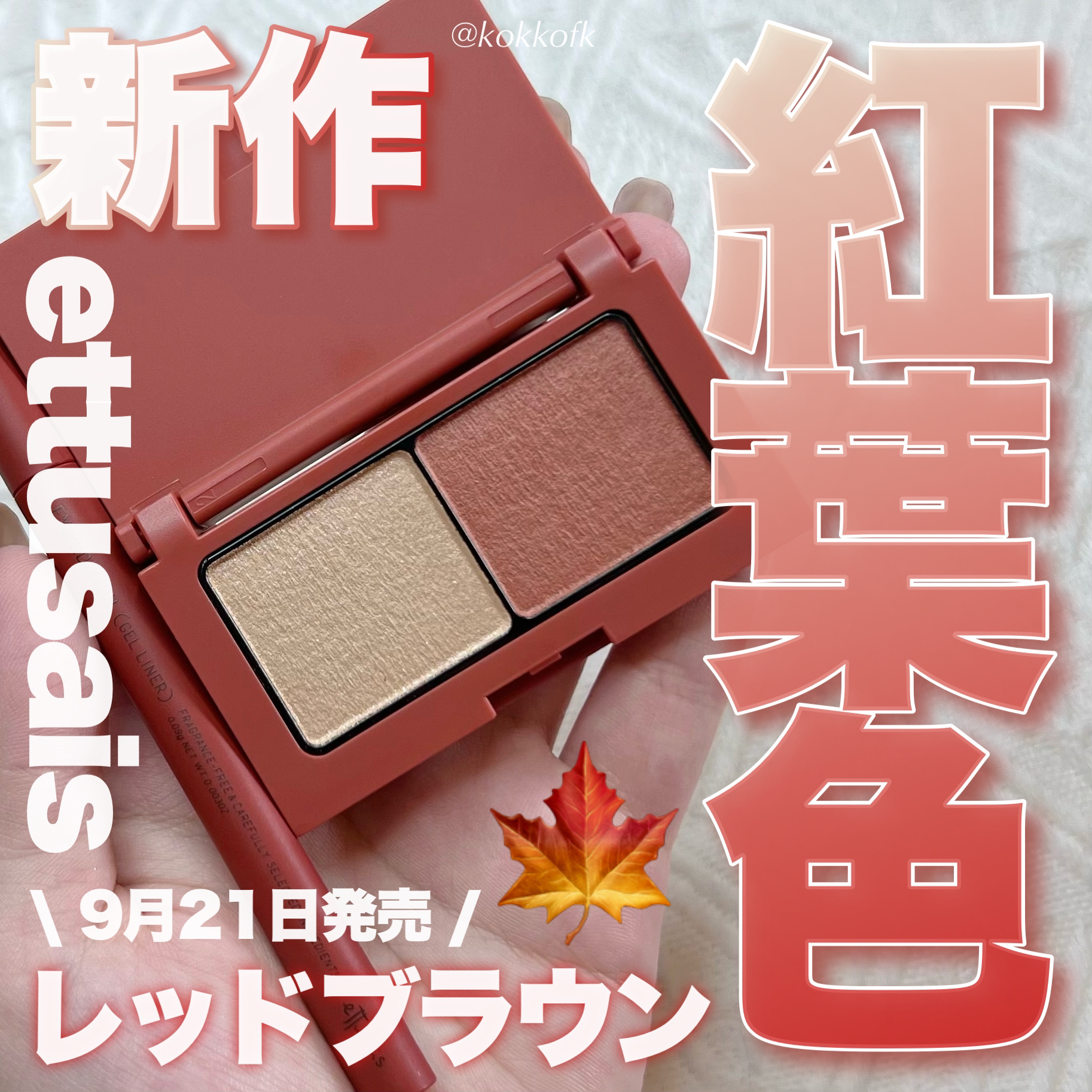 エテュセ アイエディション(カラーパレット)/ettusais/アイシャドウパレットを使ったクチコミ（1枚目）