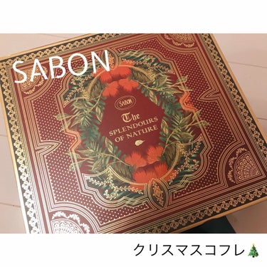 ボディスクラブ/SABON/ボディスクラブを使ったクチコミ（1枚目）