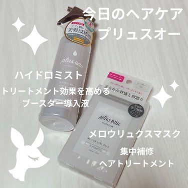 ハイドロミストN/plus eau/アウトバストリートメントを使ったクチコミ（1枚目）