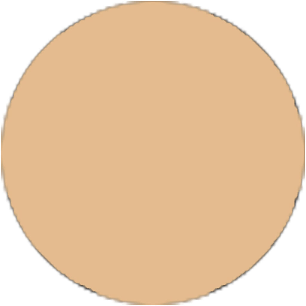 プティメール　ミネラルコンク クッションファンデーション BO-310