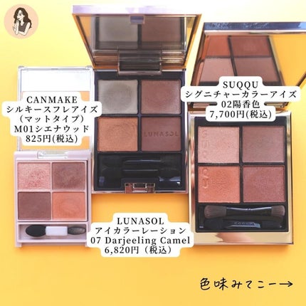アイカラーレーション/LUNASOL/アイシャドウパレットを使ったクチコミ(3枚目)