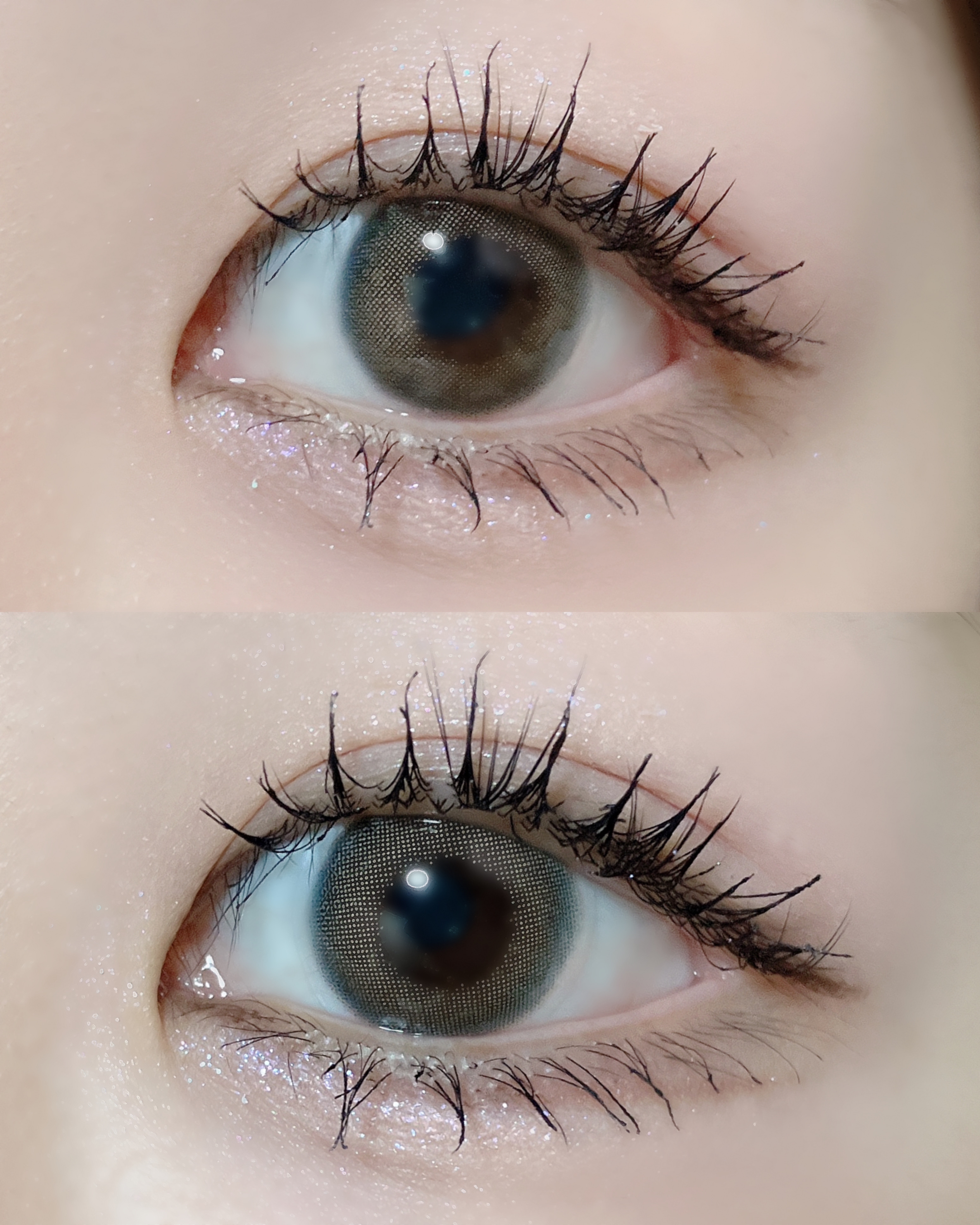 ムードブレンディングシャドウパレット/Coralhaze/アイシャドウパレットを使ったクチコミ（2枚目）