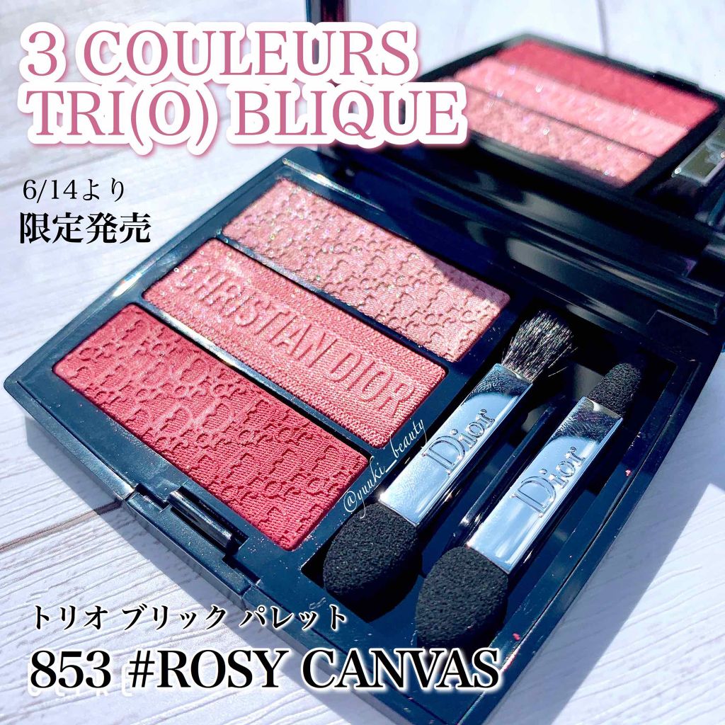 【旧】トリオ ブリック パレット/Dior/アイシャドウパレットを使ったクチコミ(1枚目)