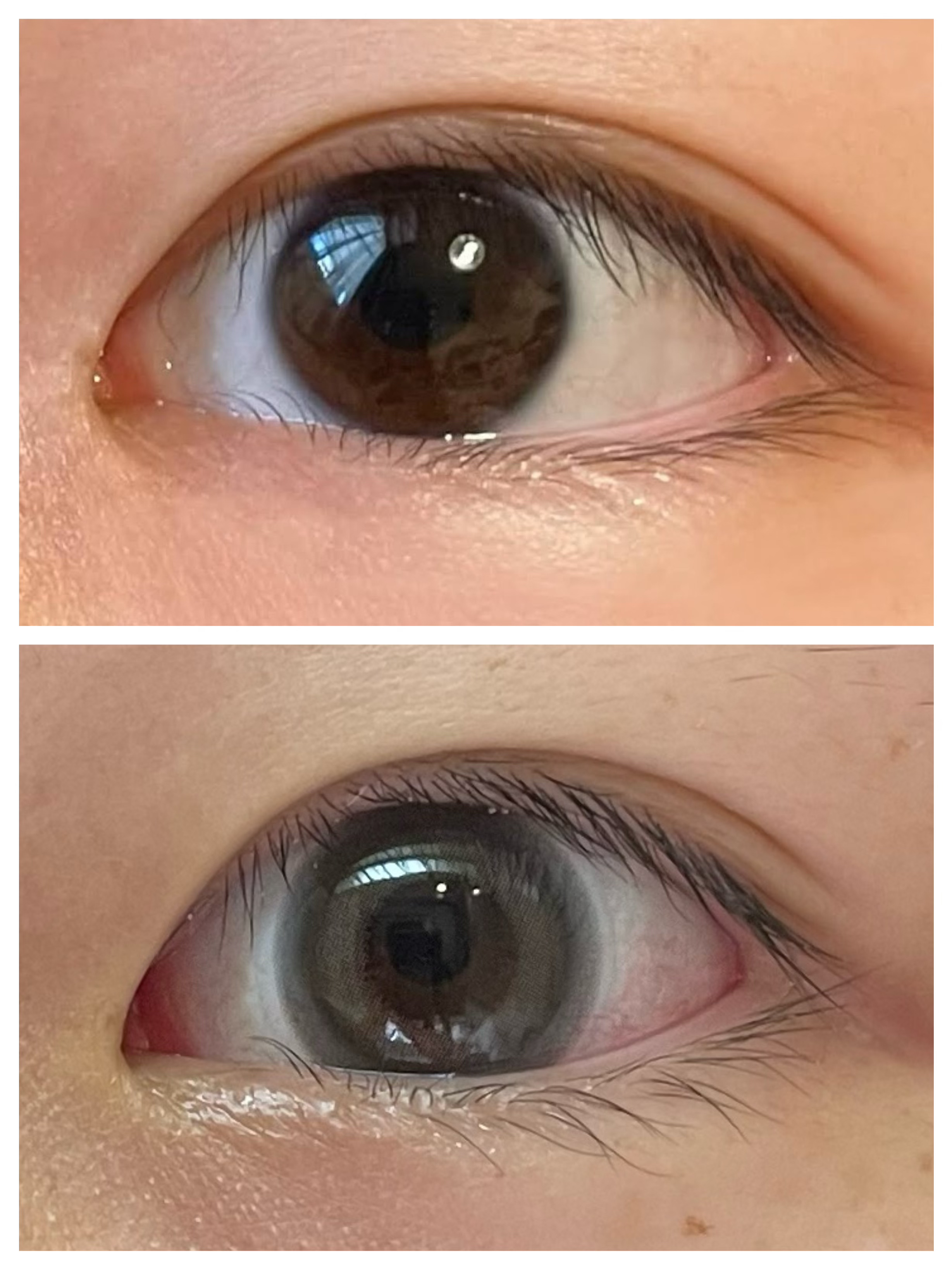 cicica 1day/cicica/ワンデー（１DAY）カラコンを使ったクチコミ（2枚目）