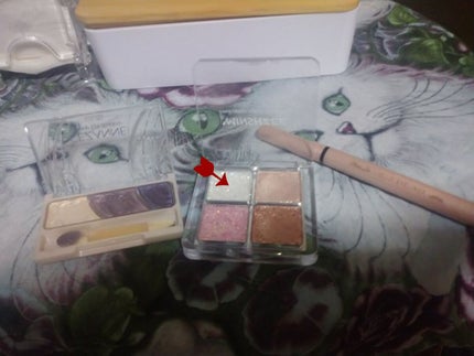 トーンアップアイシャドウ/CEZANNE/アイシャドウパレットを使ったクチコミ(1枚目)